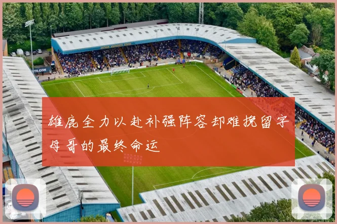 雄鹿全力以赴补强阵容却难挽留字母哥的最终命运
